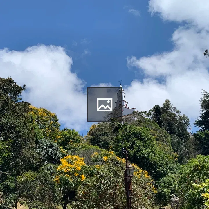 Cerro Monserrate Landscape