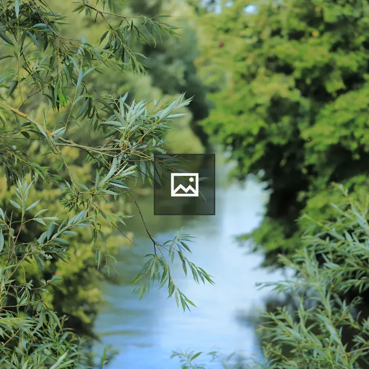 Dinton Pastures River Scene