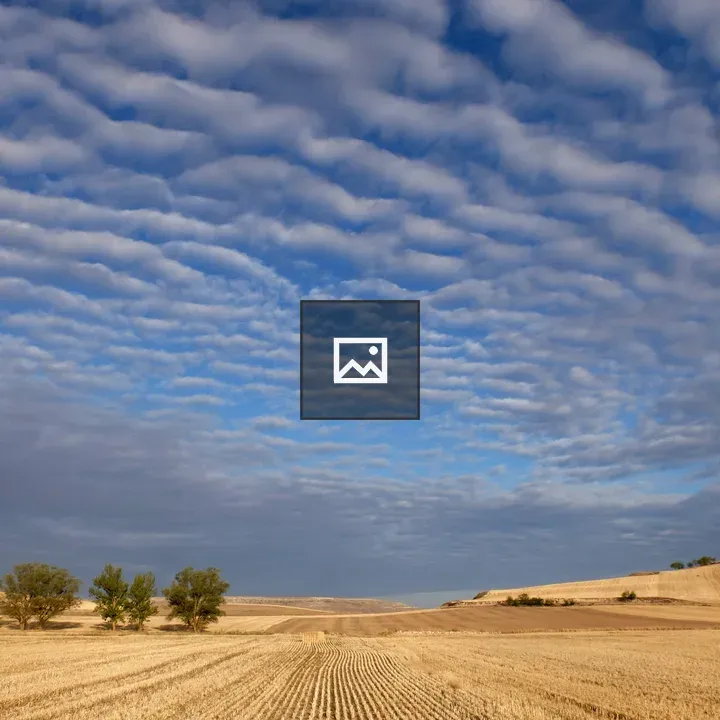 Harvested wheat field with blue sky