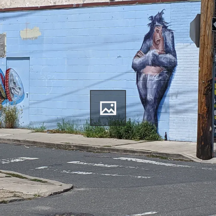 Graffiti Gorilla on Store Wall