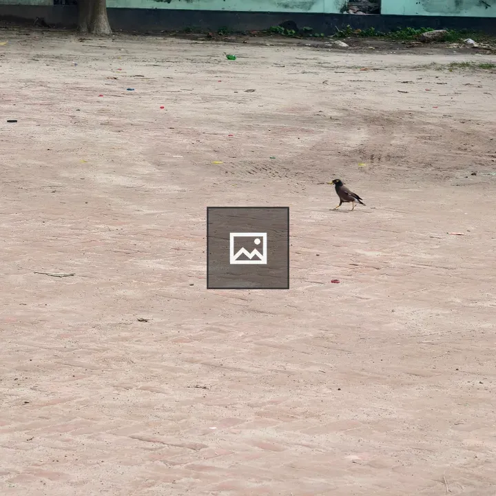 Three Dark Birds on Brick Ground