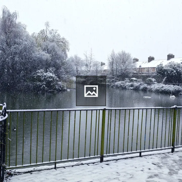 Snowy Dublin Park Scene