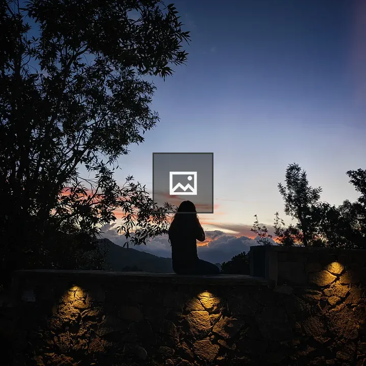 Evening silhouette on stone wall