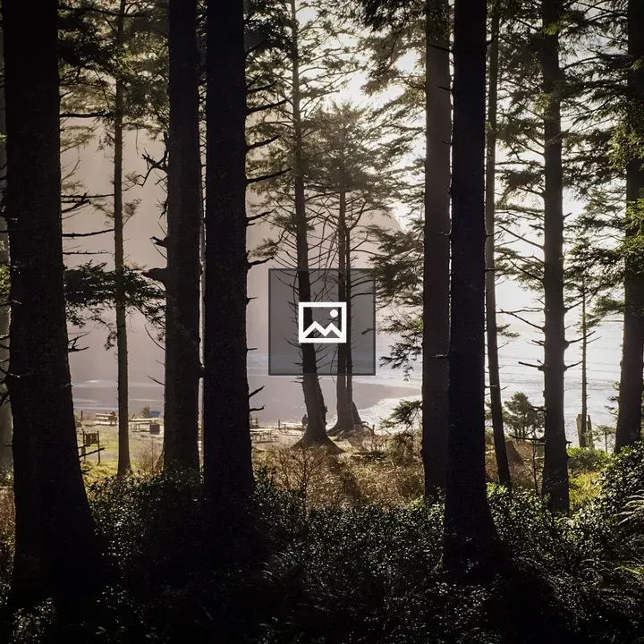 Pacific Northwest Forest Scene