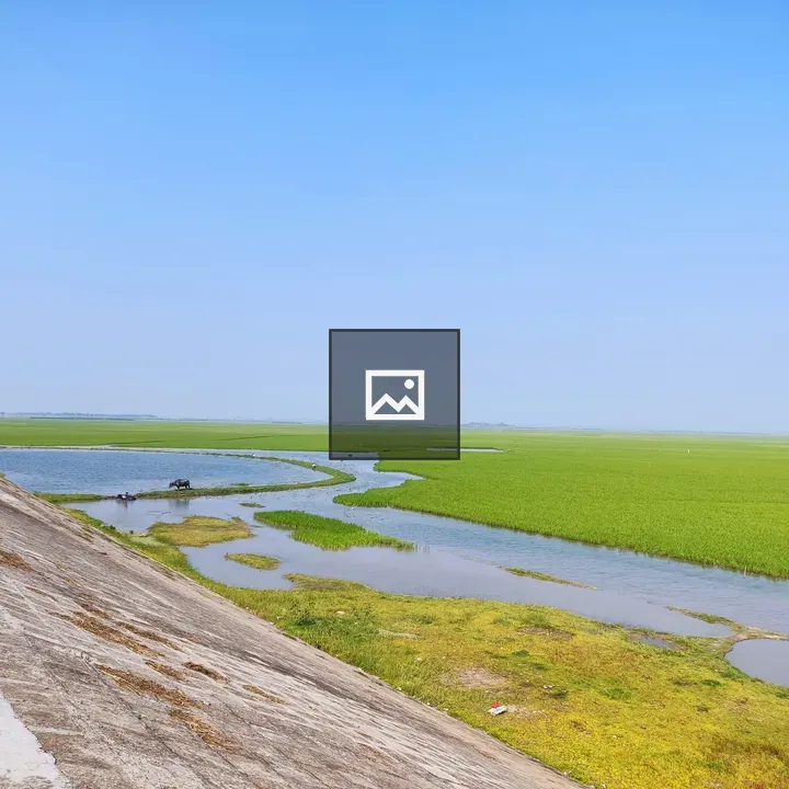 Itna Kishorgonj Landscape