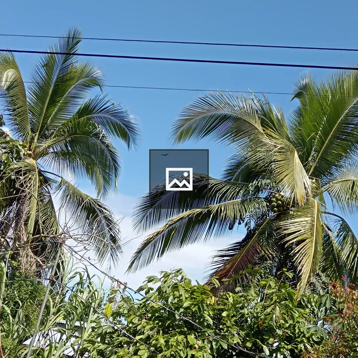 Palm Trees against Blue Sky