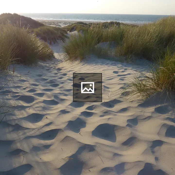 Dunes on Terschelling, Netherlands
