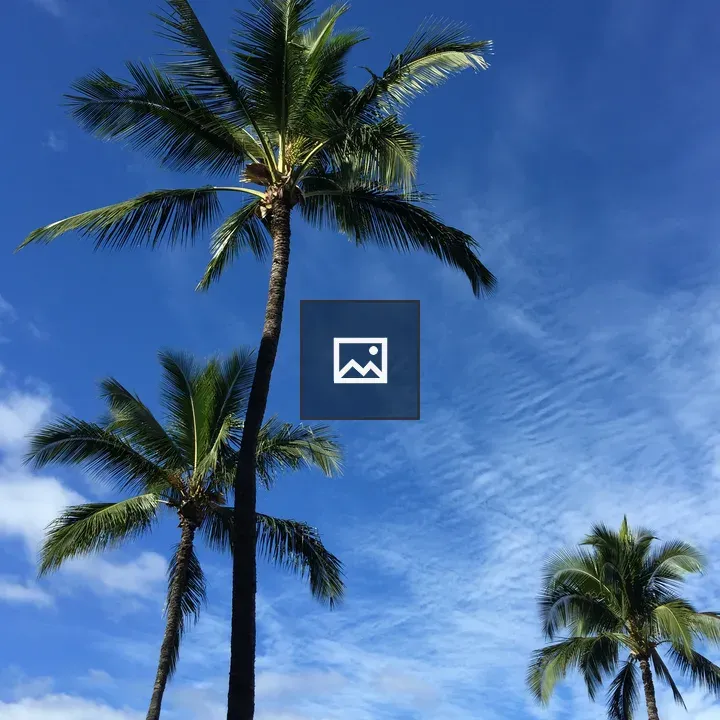 Palm Trees and Clouds