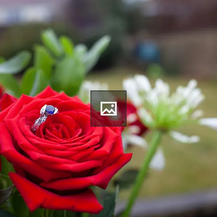 Engagement ring on a rose