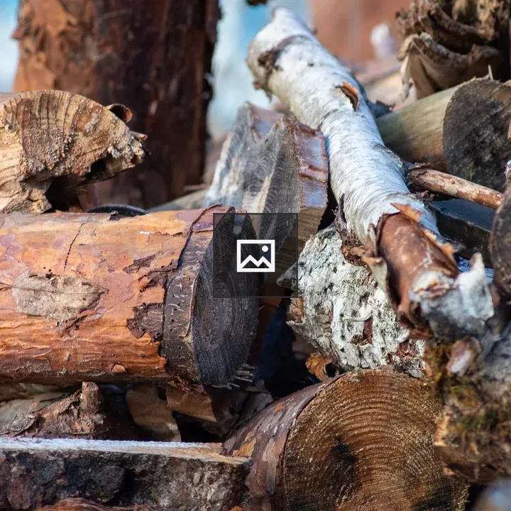 Logs on a Branch