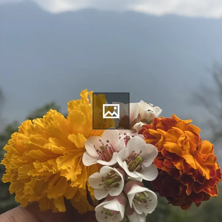 Hand holding bouquet with mountain backdrop