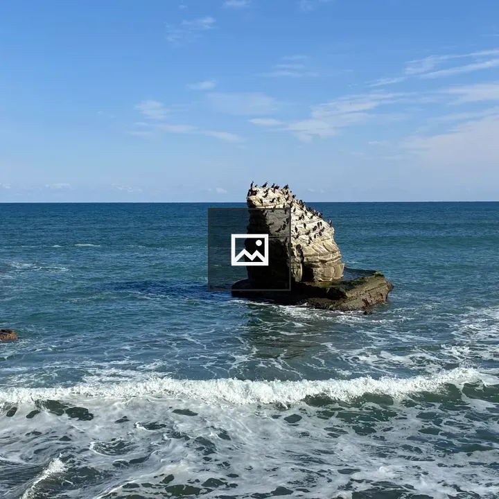 Rocky Formation at Isumi Cliffs