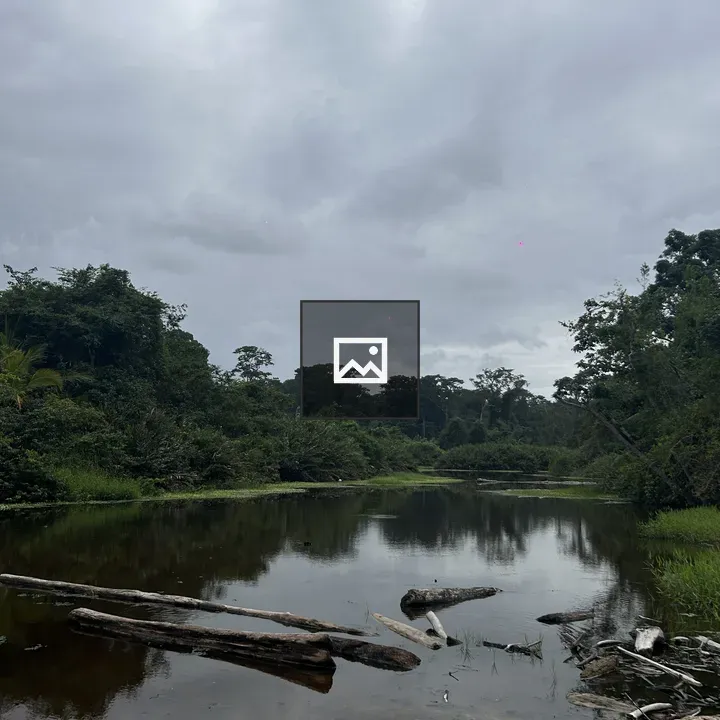 River with Logs and Green Banks