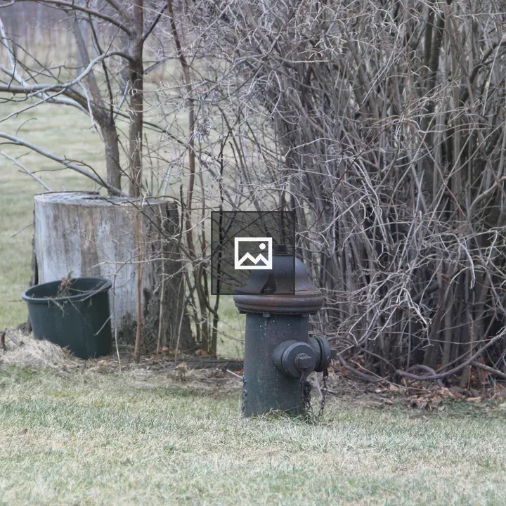 Dark fire hydrant in a field