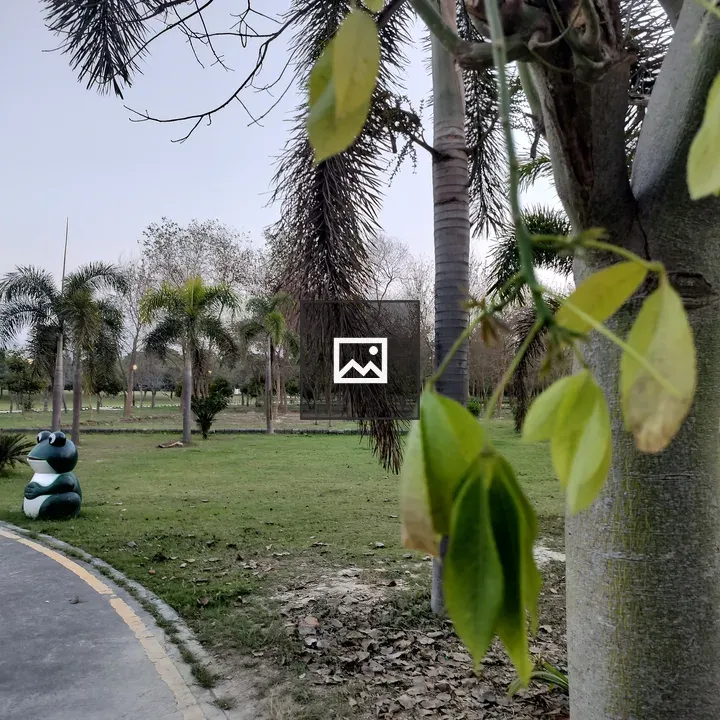 Green plant sprouting in park