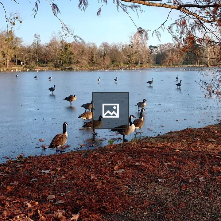 Geese on a Frozen Lake