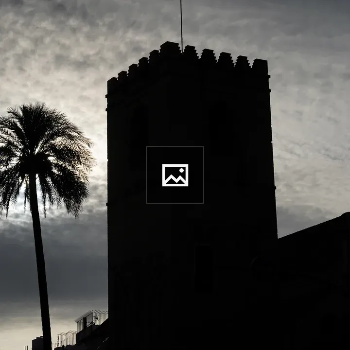 Church Silhouette with Palm Tree
