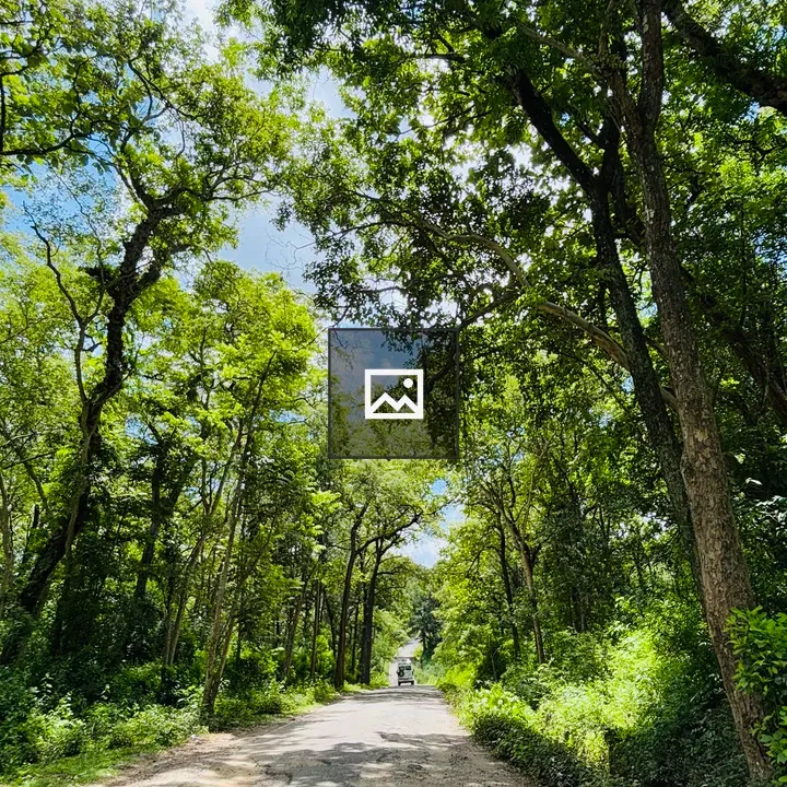 Gravel Road Through Green Landscape