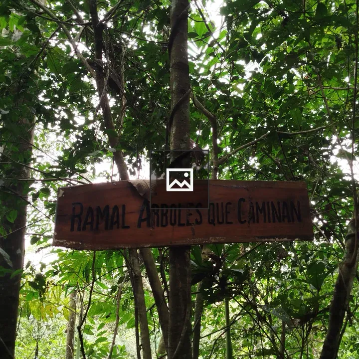 Ramal Árboles que Caminan sign