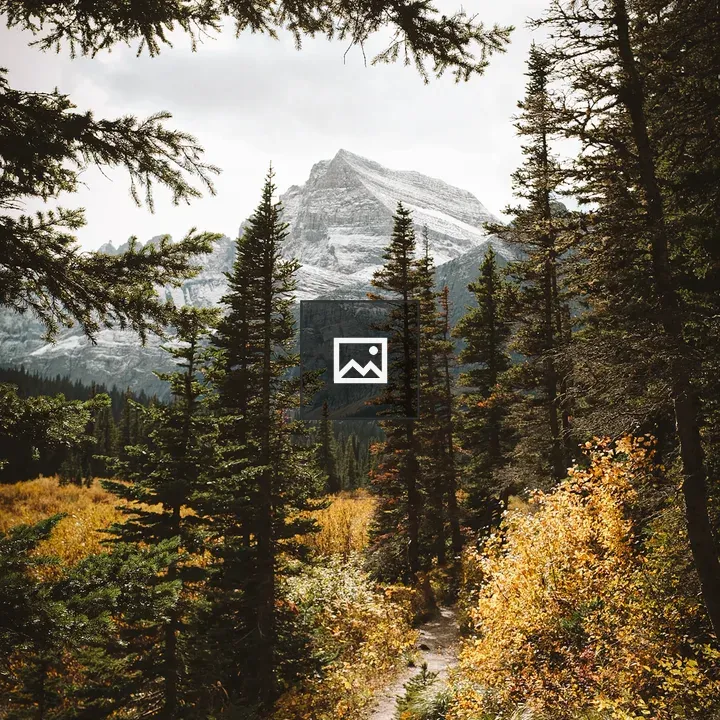 Fall forest with snowy mountain view