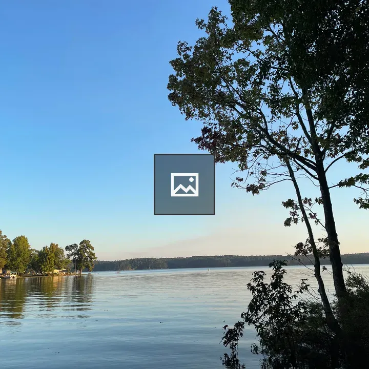 Lake Water with Trees