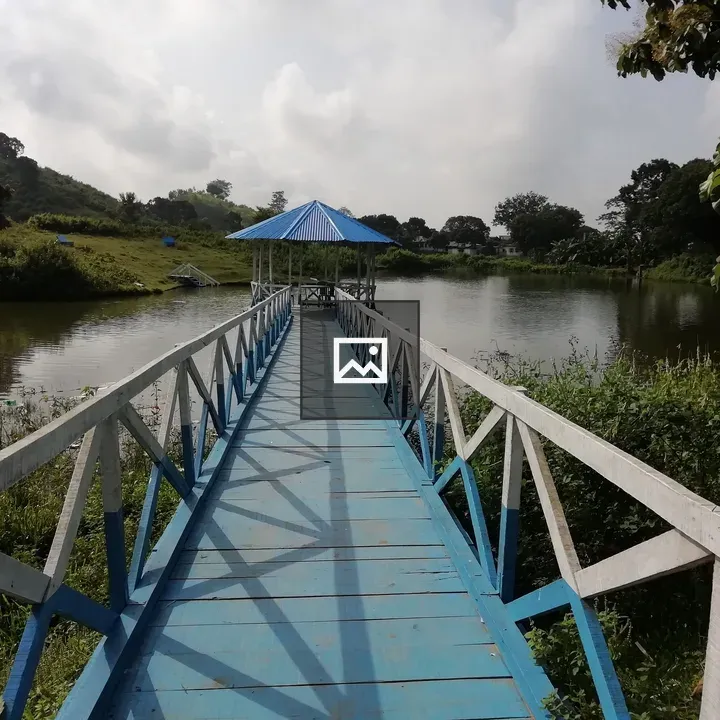 Green bridge in Sajek