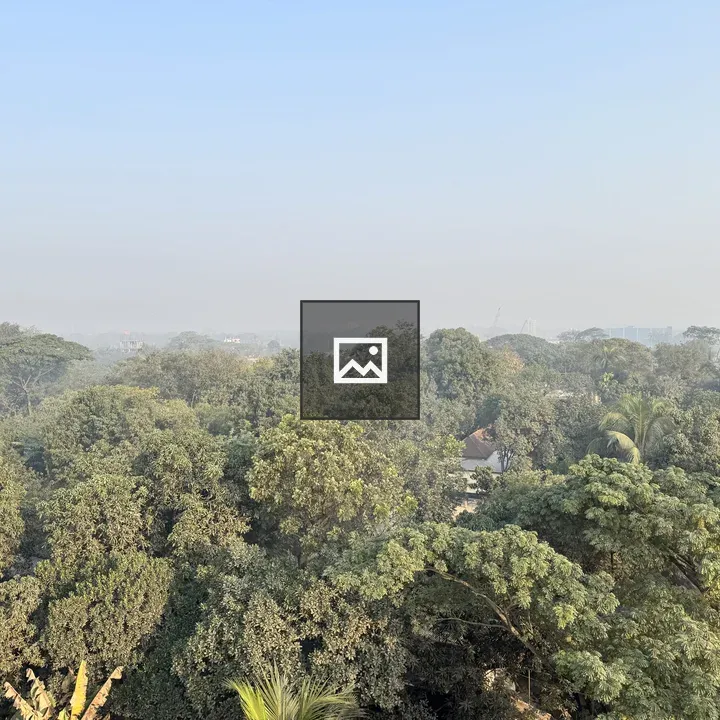Aerial Forest and Distant Urban Haze