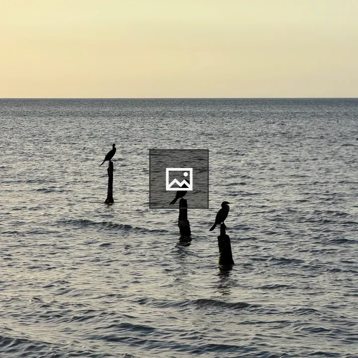 Three seabirds on posts