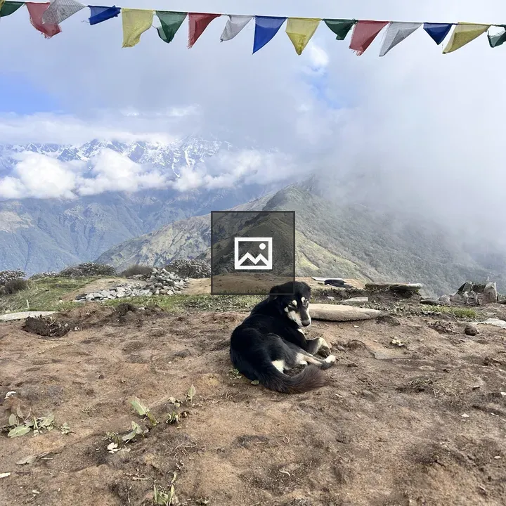 Dog with Himalayan backdrop