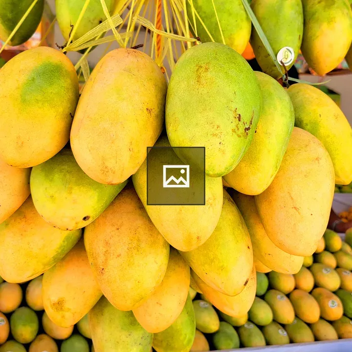 Ripe mangoes on display