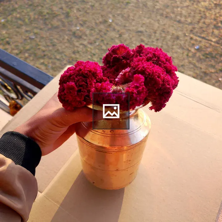 Hand Holding Pot of Magenta Flowers