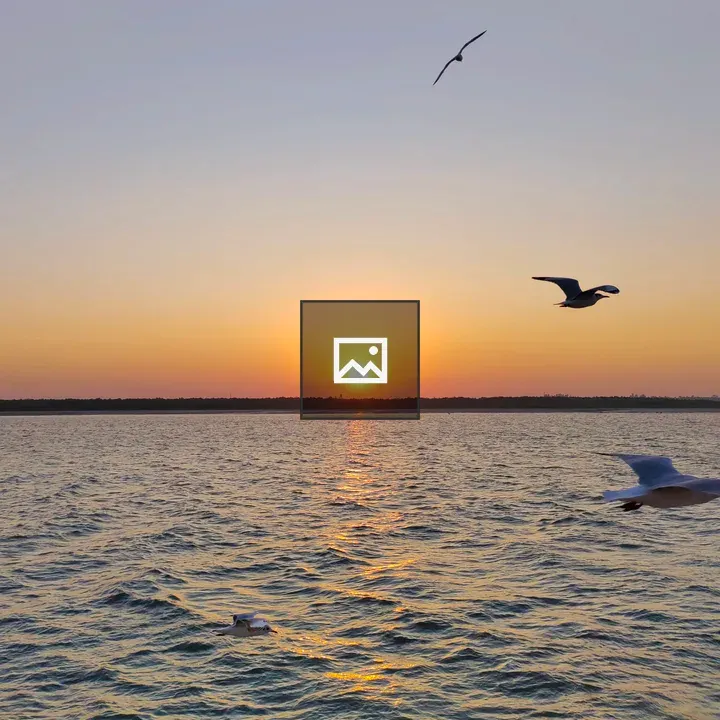 Sunset over the sea with birds