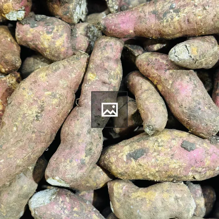 Pile of sweet potatoes