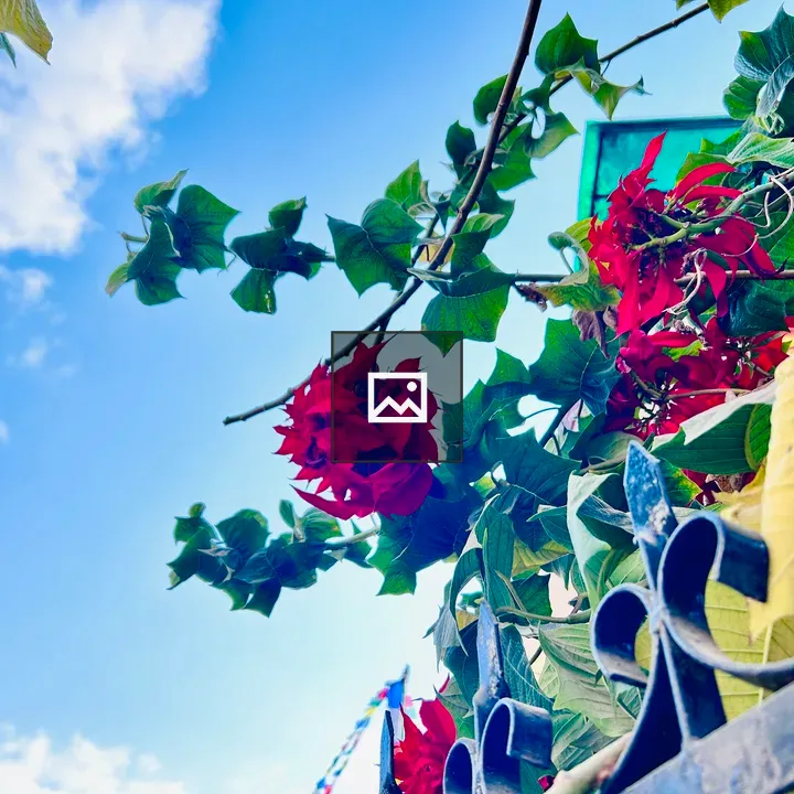 Red flowers on wall with greenery