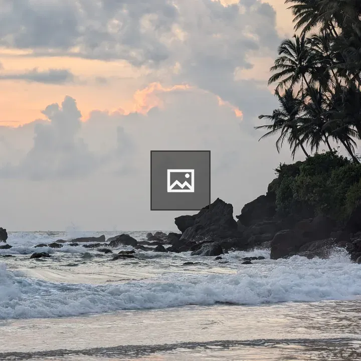 Beach at Sunset with Palm Trees