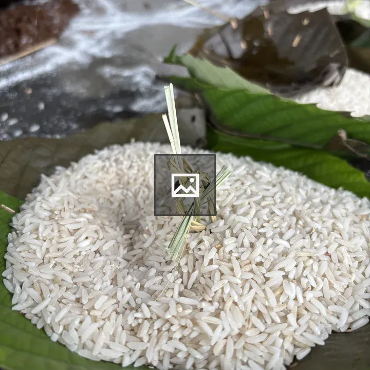 Uncooked white rice on leaf