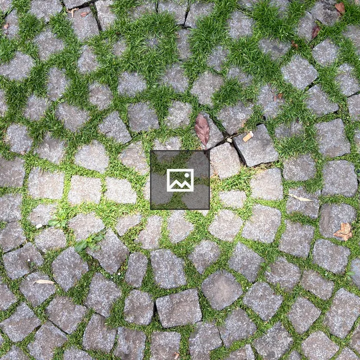 Circle of Cobblestones with Greenery