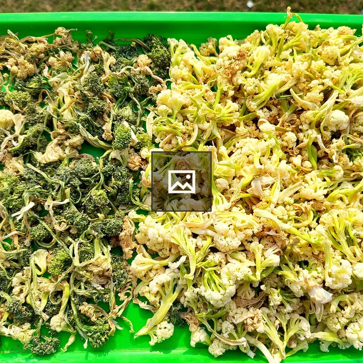 Green tray with dried broccoli and cauliflower