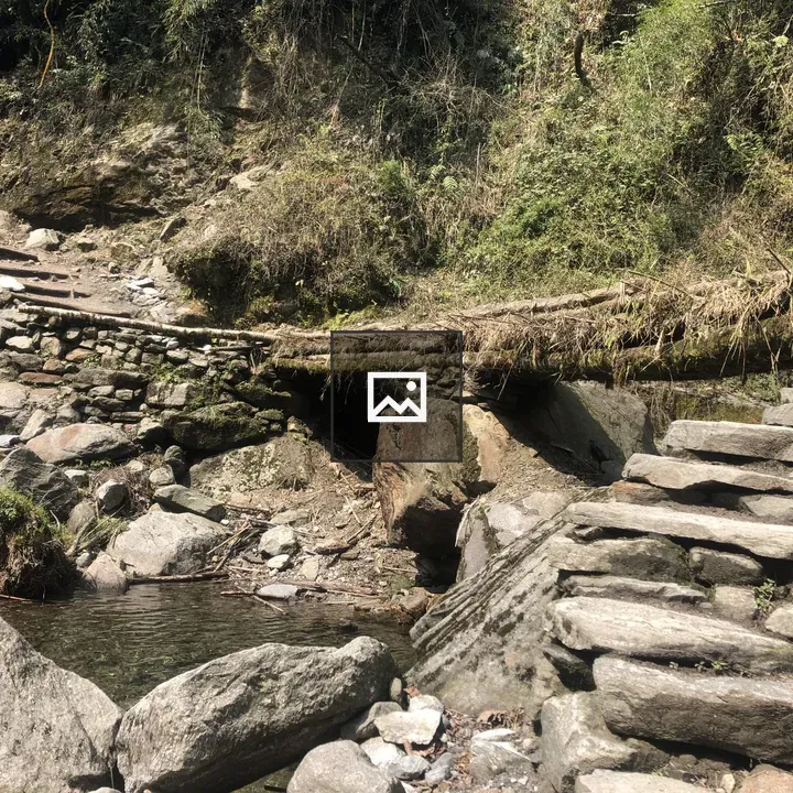 Rustic Stone Path and Bridge