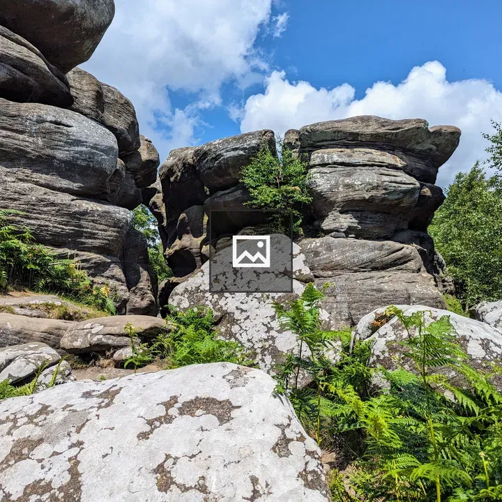 Rocks at Brimham Rocks