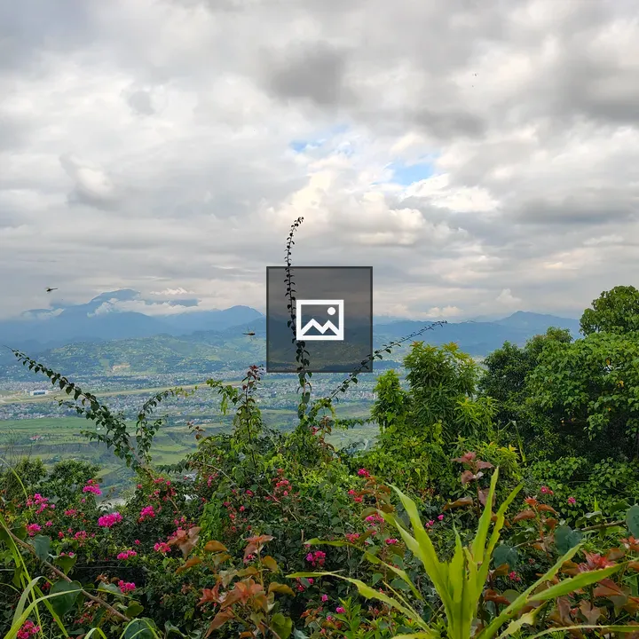 Landscape from hillside view