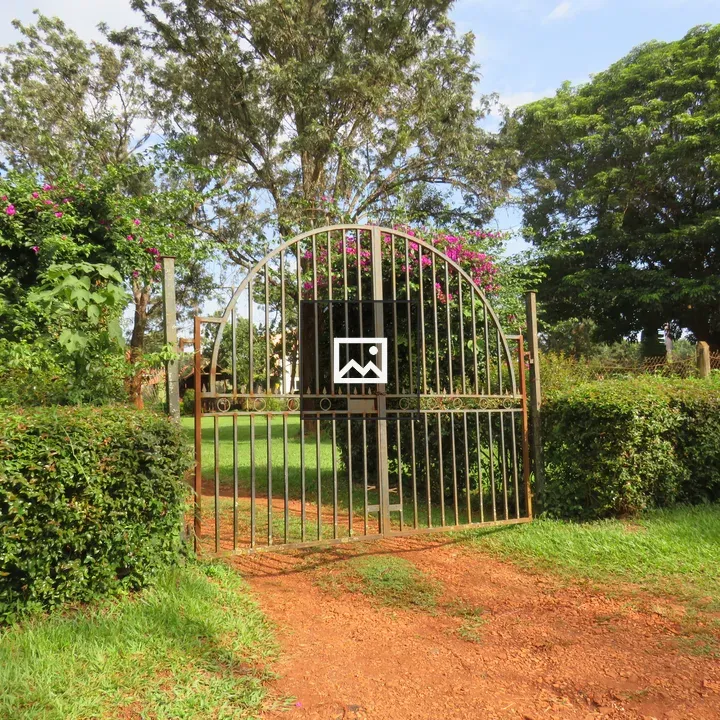 Arched iron gates at garden entrance