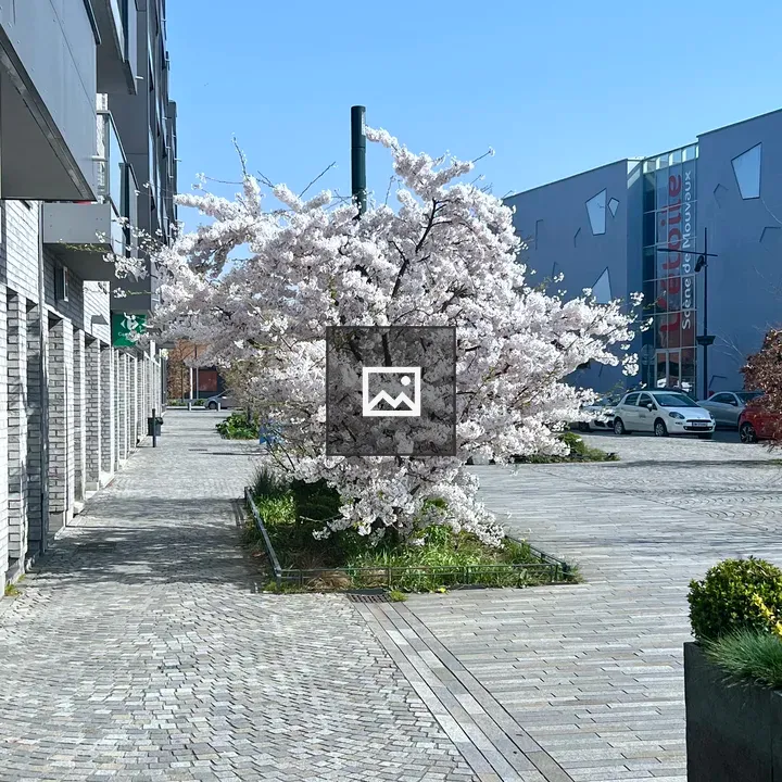 Blossom tree scene