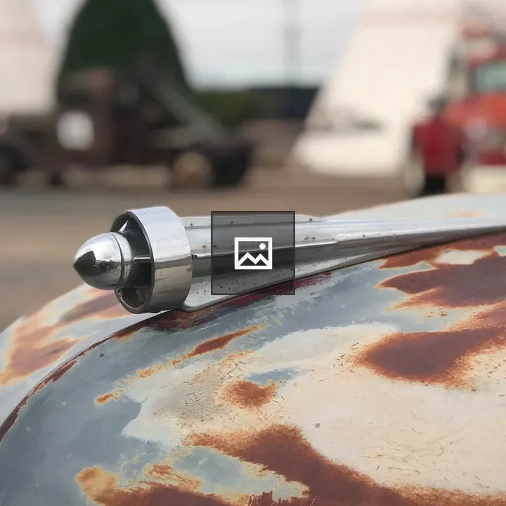 Vintage hood ornament on car