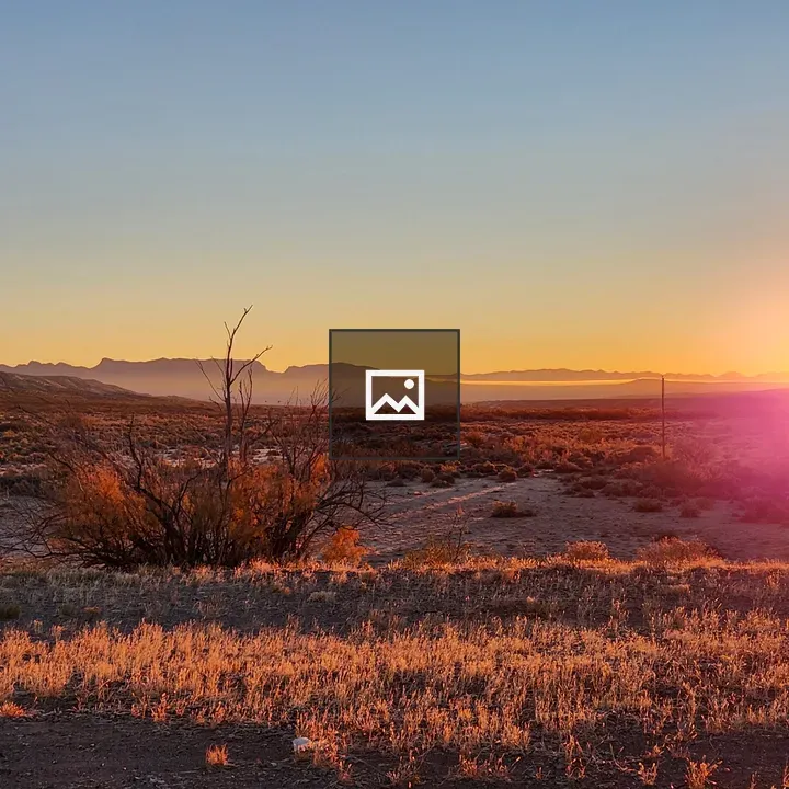 Southern New Mexico desert morning