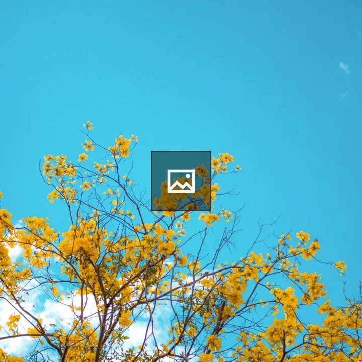 Yellow Flowers on Tree