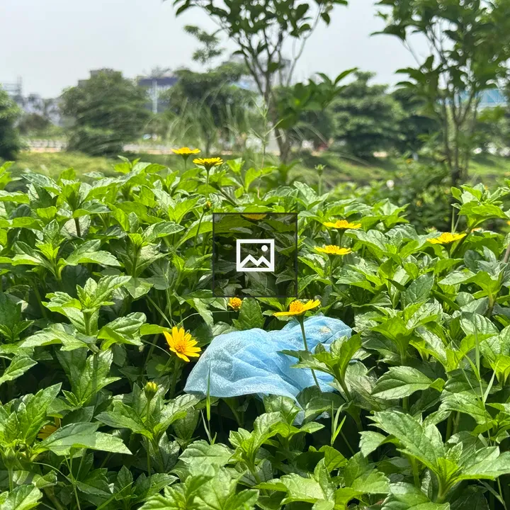 Blue Mask in Garden