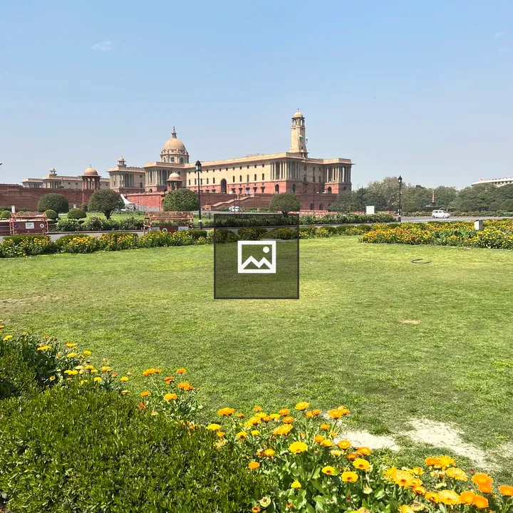 Lawn with Yellow Flowers and Building