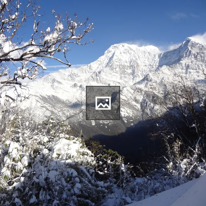 Baadal Danda with Snow-Covered Trees