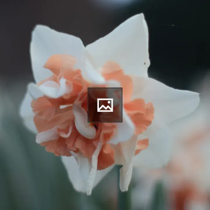 Flower in Nature Colors